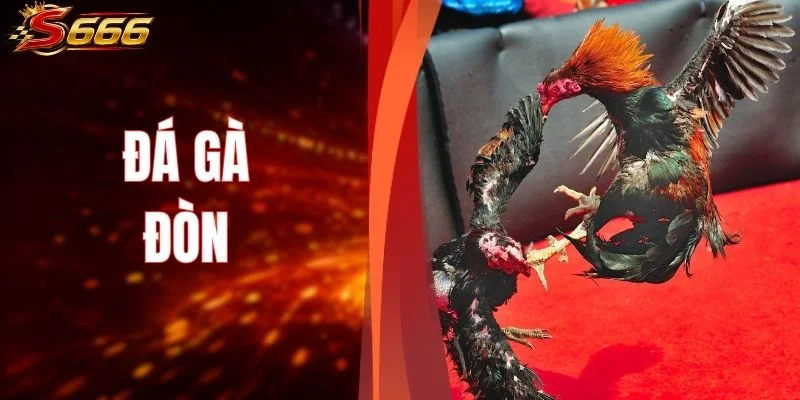 Đá Gà Đòn - Cẩm Nang Theo Dõi Trận Đấu Cùng S666 Online